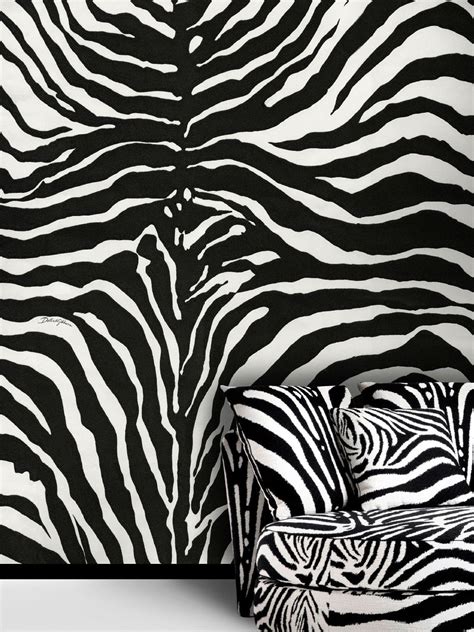 dolce gabbana zebra